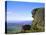The Roaches, Staffordshire, England-Neale Clarke-Stretched Canvas