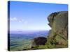 The Roaches, Staffordshire, England-Neale Clarke-Stretched Canvas