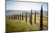 The road curves in the green hills surrounded by cypresses, Crete Senesi (Senese Clays), Province o-Roberto Moiola-Mounted Photographic Print