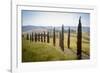 The road curves in the green hills surrounded by cypresses, Crete Senesi (Senese Clays), Province o-Roberto Moiola-Framed Photographic Print