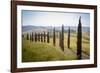 The road curves in the green hills surrounded by cypresses, Crete Senesi (Senese Clays), Province o-Roberto Moiola-Framed Photographic Print