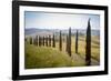 The road curves in the green hills surrounded by cypresses, Crete Senesi (Senese Clays), Province o-Roberto Moiola-Framed Photographic Print