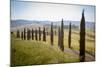 The road curves in the green hills surrounded by cypresses, Crete Senesi (Senese Clays), Province o-Roberto Moiola-Mounted Photographic Print