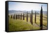 The road curves in the green hills surrounded by cypresses, Crete Senesi (Senese Clays), Province o-Roberto Moiola-Framed Stretched Canvas