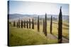 The road curves in the green hills surrounded by cypresses, Crete Senesi (Senese Clays), Province o-Roberto Moiola-Stretched Canvas