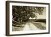 The Road Home I-Alan Hausenflock-Framed Photographic Print