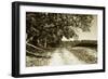 The Road Home I-Alan Hausenflock-Framed Photographic Print