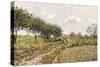 The Road in the Countryside, 1876-Alfred Sisley-Stretched Canvas