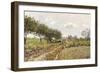 The Road in the Countryside, 1876-Alfred Sisley-Framed Giclee Print