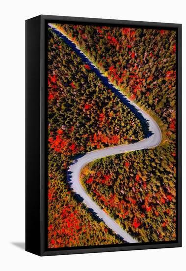 The road of colors-Marco Carmassi-Framed Stretched Canvas