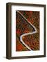 The road of colors-Marco Carmassi-Framed Photographic Print