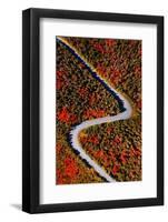 The road of colors-Marco Carmassi-Framed Photographic Print