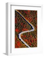 The road of colors-Marco Carmassi-Framed Photographic Print