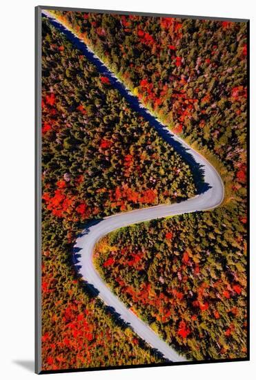 The road of colors-Marco Carmassi-Mounted Photographic Print