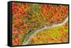 The road of colors-Marco Carmassi-Framed Stretched Canvas