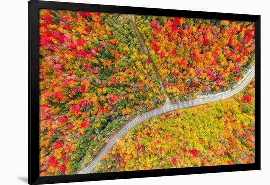 The road of colors-Marco Carmassi-Framed Photographic Print