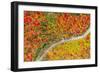 The road of colors-Marco Carmassi-Framed Photographic Print