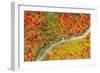 The road of colors-Marco Carmassi-Framed Photographic Print