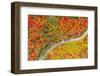 The road of colors-Marco Carmassi-Framed Photographic Print