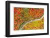 The road of colors-Marco Carmassi-Framed Photographic Print