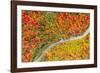 The road of colors-Marco Carmassi-Framed Photographic Print