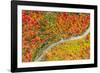 The road of colors-Marco Carmassi-Framed Photographic Print