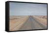 The Road to Cape Cross, Namibia-Alex Saberi-Framed Stretched Canvas