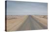 The Road to Cape Cross, Namibia-Alex Saberi-Stretched Canvas