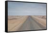 The Road to Cape Cross, Namibia-Alex Saberi-Framed Stretched Canvas