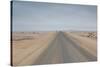 The Road to Cape Cross, Namibia-Alex Saberi-Stretched Canvas