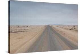 The Road to Cape Cross, Namibia-Alex Saberi-Stretched Canvas