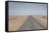 The Road to Cape Cross, Namibia-Alex Saberi-Framed Stretched Canvas