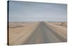 The Road to Cape Cross, Namibia-Alex Saberi-Stretched Canvas