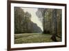 The Road to Chailly (The Forest of Fontainebleau), C. 1865-Claude Monet-Framed Giclee Print