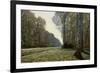 The Road to Chailly (The Forest of Fontainebleau), C. 1865-Claude Monet-Framed Giclee Print