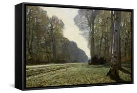 The Road to Chailly (The Forest of Fontainebleau), C. 1865-Claude Monet-Framed Stretched Canvas