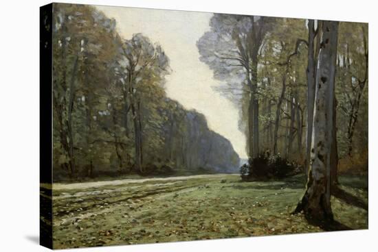 The Road to Chailly (The Forest of Fontainebleau), C. 1865-Claude Monet-Stretched Canvas