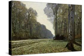The Road to Chailly (The Forest of Fontainebleau), C. 1865-Claude Monet-Stretched Canvas