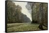The Road to Chailly (The Forest of Fontainebleau), C. 1865-Claude Monet-Framed Stretched Canvas