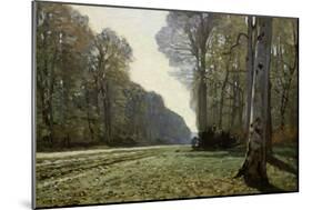 The Road to Chailly (The Forest of Fontainebleau), C. 1865-Claude Monet-Mounted Giclee Print