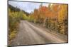 The Road To Color-Bill Sherrell-Mounted Photographic Print