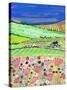 The Road to Crathes-Caroline Duncan-Stretched Canvas