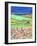 The Road to Crathes-Caroline Duncan-Framed Giclee Print