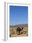 The Road to Merzouga, Morocco, North Africa, Africa-Doug Pearson-Framed Photographic Print