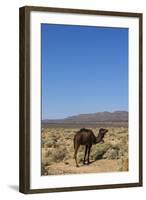 The Road to Merzouga, Morocco, North Africa, Africa-Doug Pearson-Framed Photographic Print