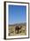 The Road to Merzouga, Morocco, North Africa, Africa-Doug Pearson-Framed Photographic Print