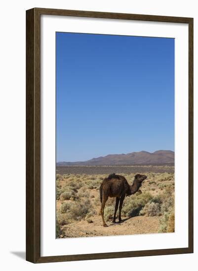 The Road to Merzouga, Morocco, North Africa, Africa-Doug Pearson-Framed Photographic Print