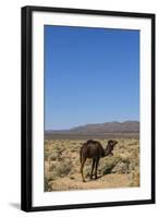 The Road to Merzouga, Morocco, North Africa, Africa-Doug Pearson-Framed Photographic Print