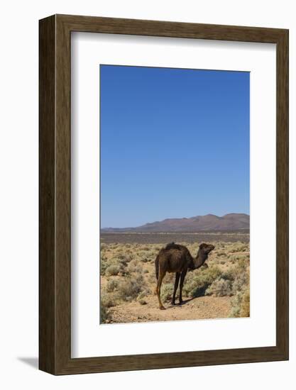 The Road to Merzouga, Morocco, North Africa, Africa-Doug Pearson-Framed Photographic Print