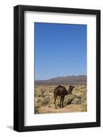 The Road to Merzouga, Morocco, North Africa, Africa-Doug Pearson-Framed Photographic Print